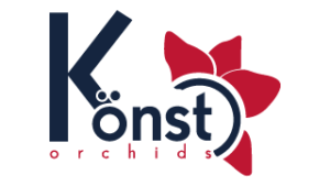 Ophelia Onbeperkt - Kwekerij Konst